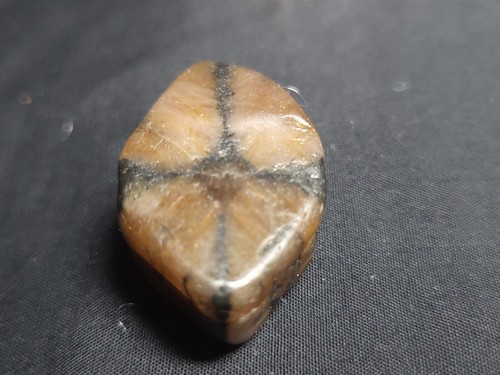 Chiastolite mineral crystal