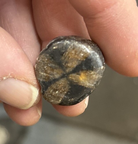 Piece tumbled chiastolite - piece,